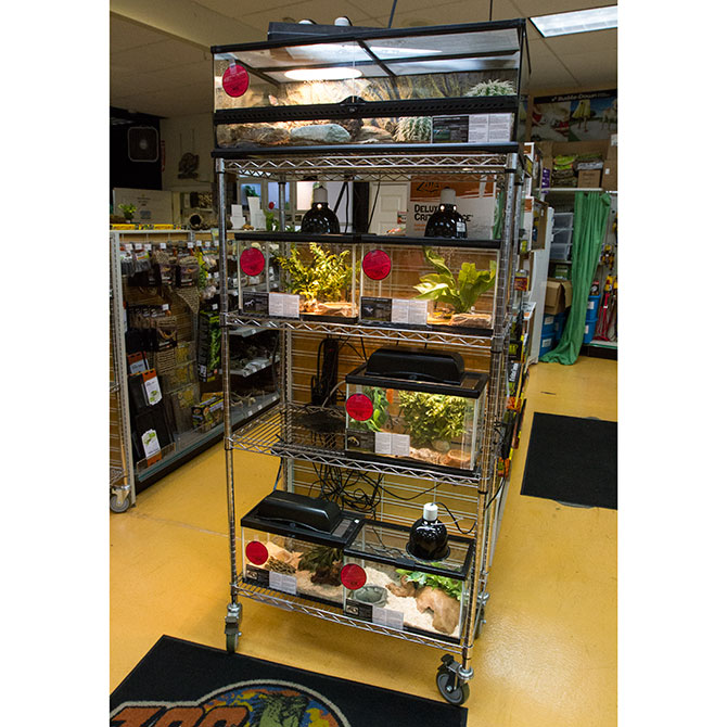Nsf Wire Shelving Units Retail Systems By Grand Traditional Wire Shelving Units